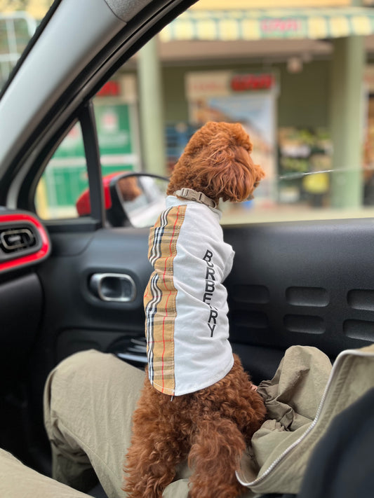 Vestito per cani Burberry 